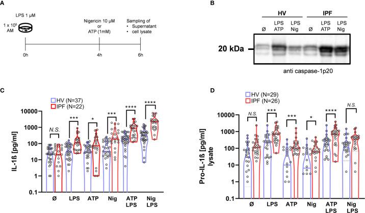 https://cdn.ncbi.nlm.nih.gov/pmc/blobs/9be3/8104027/f4892b723be6/fimmu-12-642855-g001.jpg