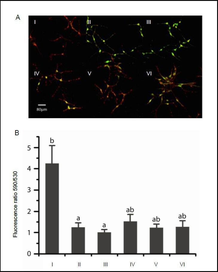 https://cdn.ncbi.nlm.nih.gov/pmc/blobs/9be6/4145930/3ae49afa0001/NRR-8-2573-g004.jpg