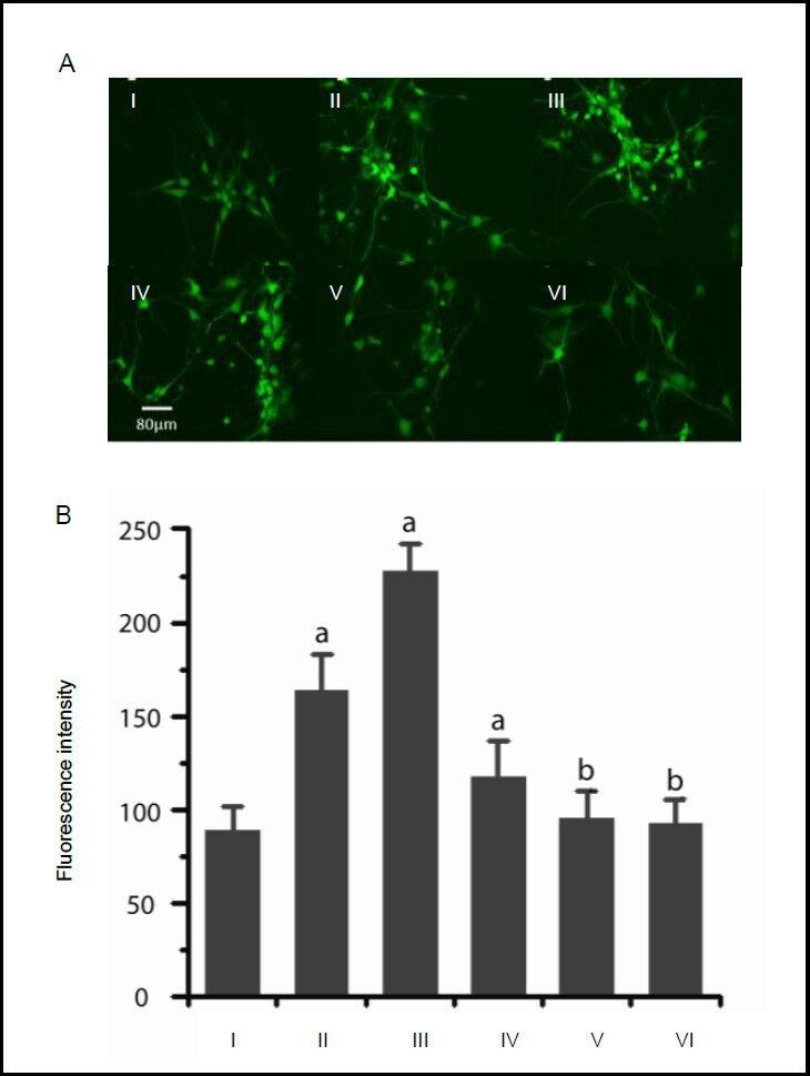 https://cdn.ncbi.nlm.nih.gov/pmc/blobs/9be6/4145930/e0da64c81427/NRR-8-2573-g003.jpg