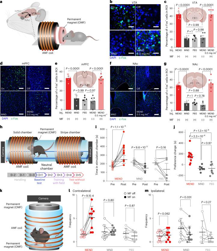 https://cdn.ncbi.nlm.nih.gov/pmc/blobs/9be8/11750723/53ace22788ab/41565_2024_1798_Fig4_HTML.jpg