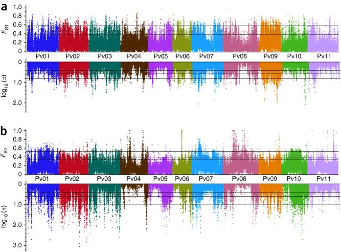 https://cdn.ncbi.nlm.nih.gov/pmc/blobs/9bea/7048698/00f9820bbbe4/41588_2014_BFng3008_Fig4_HTML.jpg