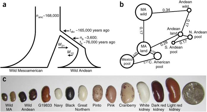 https://cdn.ncbi.nlm.nih.gov/pmc/blobs/9bea/7048698/070ec2a7de4f/41588_2014_BFng3008_Fig3_HTML.jpg