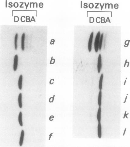 https://cdn.ncbi.nlm.nih.gov/pmc/blobs/9beb/1055735/73ada6239db7/plntphys00634-0224-b.jpg