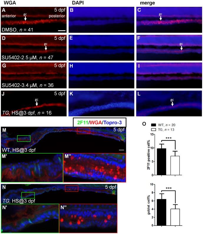 https://cdn.ncbi.nlm.nih.gov/pmc/blobs/9bec/3590179/0bf7bd8f6398/pone.0058310.g001.jpg