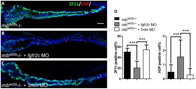 https://cdn.ncbi.nlm.nih.gov/pmc/blobs/9bec/3590179/3fb6a756791d/pone.0058310.g008.jpg