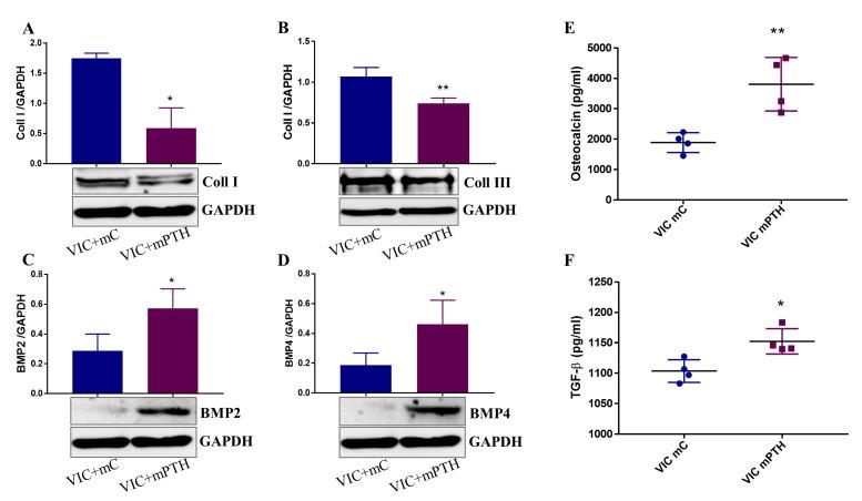 https://cdn.ncbi.nlm.nih.gov/pmc/blobs/9bed/8998852/f4855ea512cc/ijms-23-03776-g008.jpg