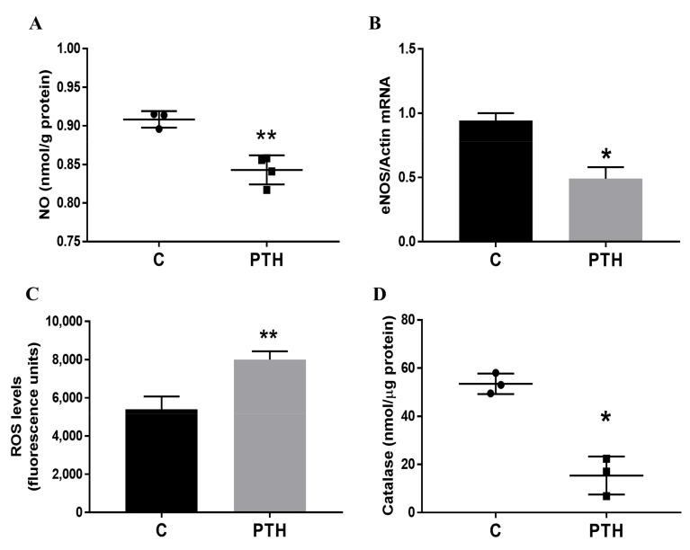 https://cdn.ncbi.nlm.nih.gov/pmc/blobs/9bed/8998852/febbaa725fb0/ijms-23-03776-g002.jpg