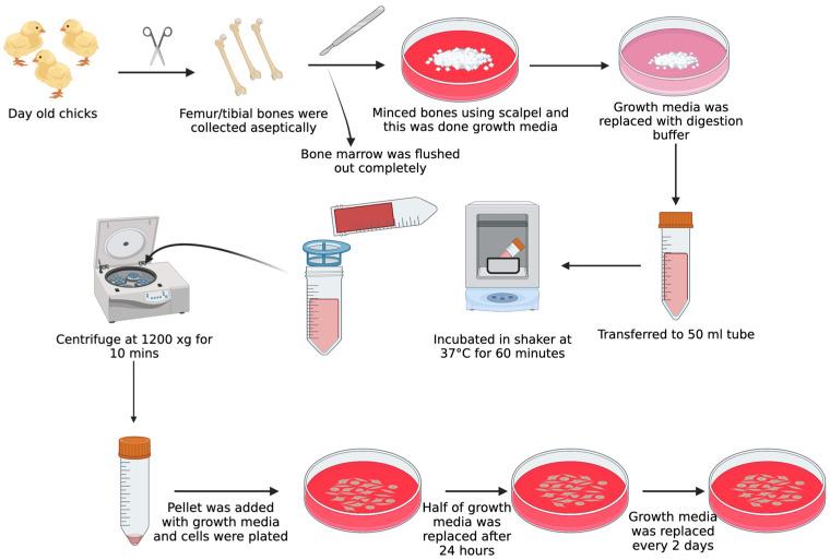 https://cdn.ncbi.nlm.nih.gov/pmc/blobs/9bee/10669906/82cedacf8c44/biomolecules-13-01626-g002.jpg