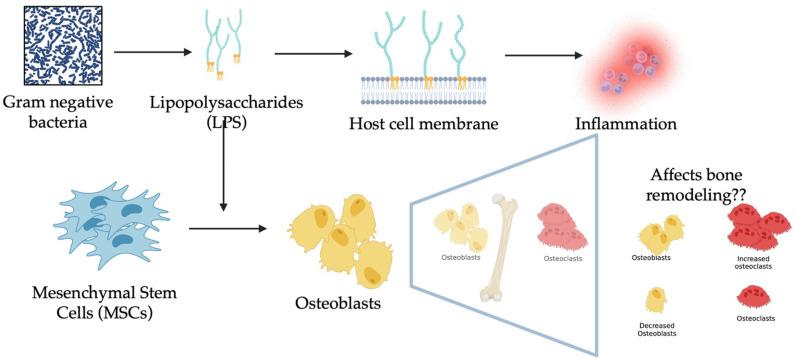 https://cdn.ncbi.nlm.nih.gov/pmc/blobs/9bee/10669906/83c748a4e454/biomolecules-13-01626-g001.jpg