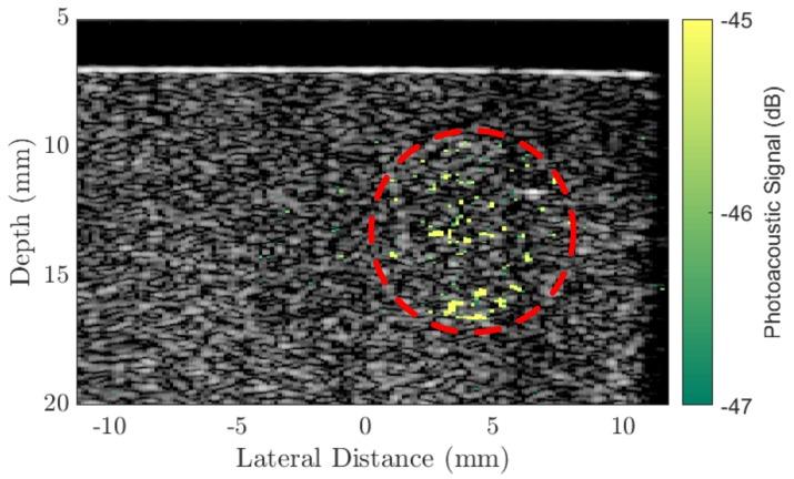 https://cdn.ncbi.nlm.nih.gov/pmc/blobs/9bef/6274674/ed6139716878/ijms-19-03318-g002.jpg
