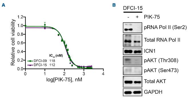 https://cdn.ncbi.nlm.nih.gov/pmc/blobs/9bf1/9890034/40fc5e0dbb61/108367.fig8.jpg