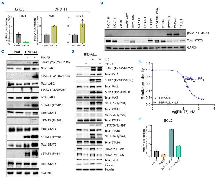 https://cdn.ncbi.nlm.nih.gov/pmc/blobs/9bf1/9890034/e11fa6b6d12c/108367.fig7.jpg
