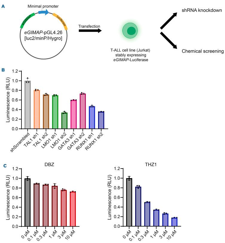 https://cdn.ncbi.nlm.nih.gov/pmc/blobs/9bf1/9890034/e44731417eea/108367.fig1.jpg