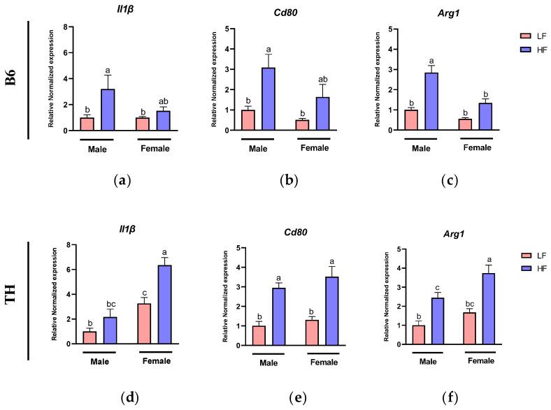 https://cdn.ncbi.nlm.nih.gov/pmc/blobs/9bf4/11644550/c5d3cb6ef1e7/nutrients-16-04179-g005.jpg