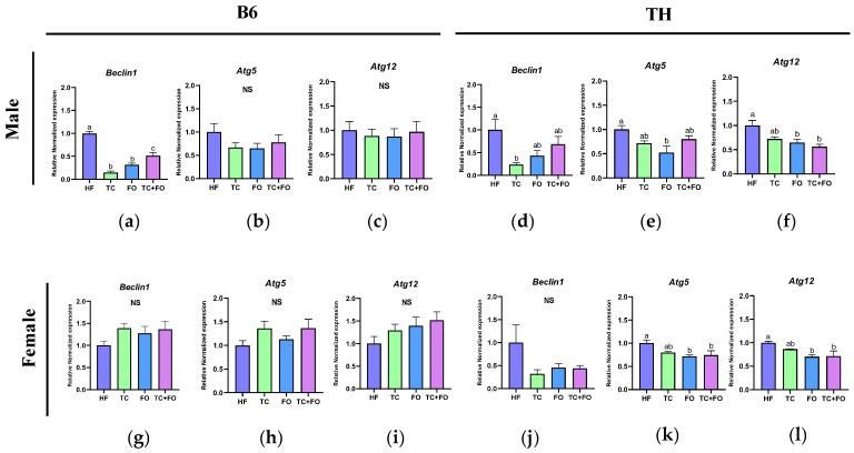 https://cdn.ncbi.nlm.nih.gov/pmc/blobs/9bf4/11644550/e979d43b38dc/nutrients-16-04179-g011.jpg