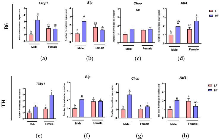 https://cdn.ncbi.nlm.nih.gov/pmc/blobs/9bf4/11644550/fac28abe279b/nutrients-16-04179-g008.jpg