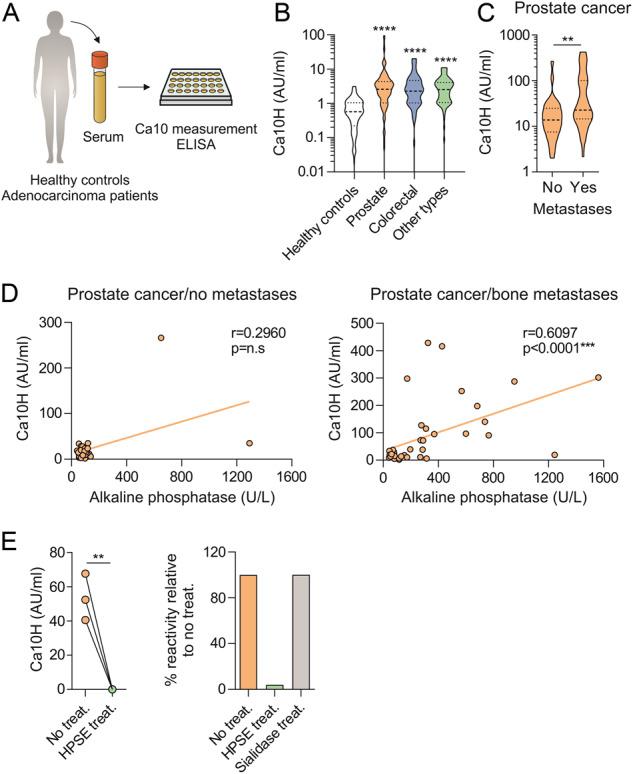 https://cdn.ncbi.nlm.nih.gov/pmc/blobs/9bf7/10687014/245a7d002dd2/41423_2023_1096_Fig8_HTML.jpg