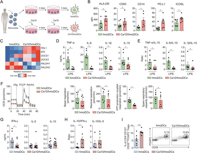 https://cdn.ncbi.nlm.nih.gov/pmc/blobs/9bf7/10687014/b70fe48f4d11/41423_2023_1096_Fig5_HTML.jpg