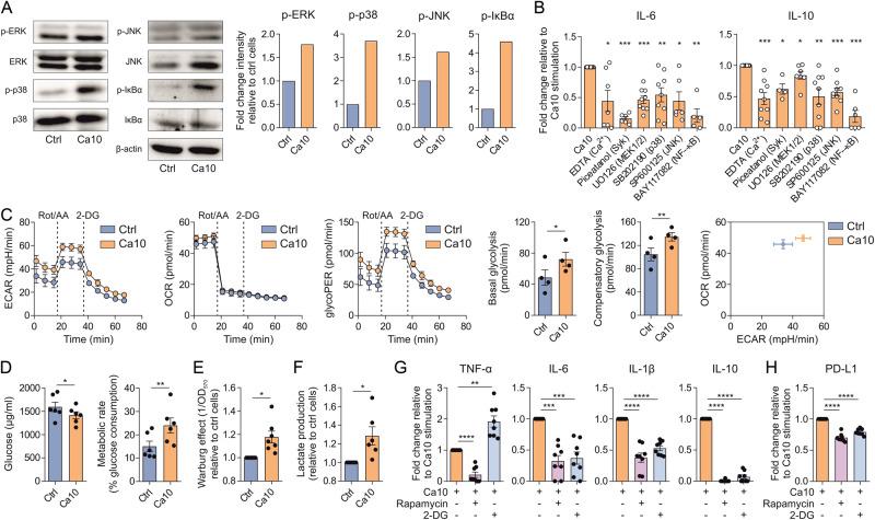 https://cdn.ncbi.nlm.nih.gov/pmc/blobs/9bf7/10687014/bdb7d4c547d9/41423_2023_1096_Fig3_HTML.jpg