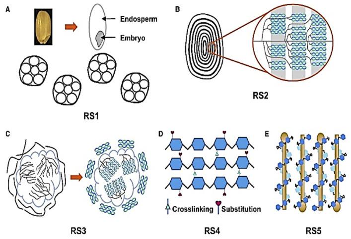 https://cdn.ncbi.nlm.nih.gov/pmc/blobs/9bf8/12347456/80700843ea3a/ijms-26-07374-g002.jpg