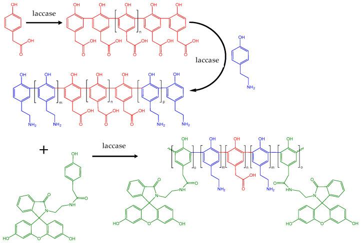 https://cdn.ncbi.nlm.nih.gov/pmc/blobs/9bf9/10934700/b9ce38dd8fb3/molecules-29-00989-sch008.jpg