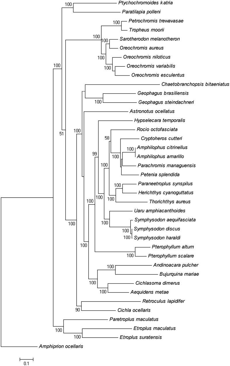 https://cdn.ncbi.nlm.nih.gov/pmc/blobs/9bf9/7800511/55bebf76756c/TMDN_A_1372713_F0001_B.jpg