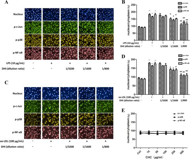 https://cdn.ncbi.nlm.nih.gov/pmc/blobs/9bfa/5684234/aff844c182fd/41598_2017_14692_Fig5_HTML.jpg