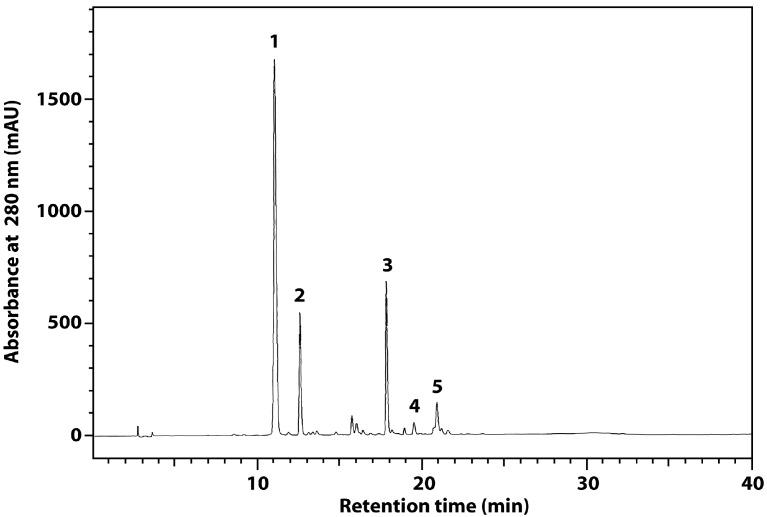 https://cdn.ncbi.nlm.nih.gov/pmc/blobs/9bfc/6273640/b642762fd681/molecules-21-00017-g003.jpg