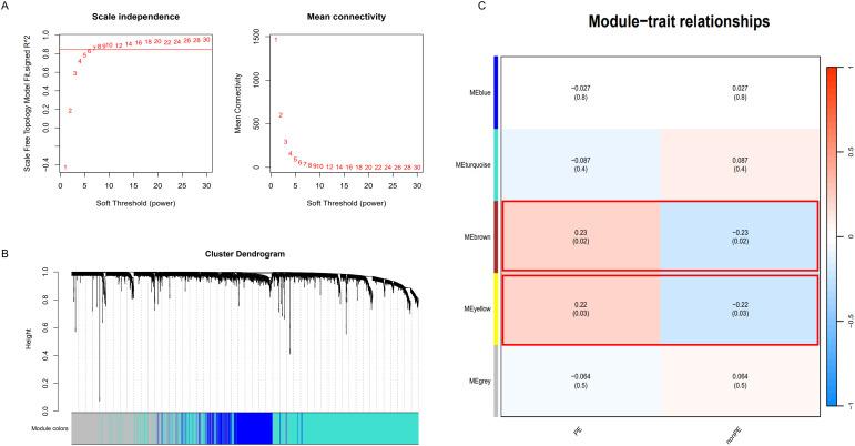 https://cdn.ncbi.nlm.nih.gov/pmc/blobs/9bfe/11560445/40289df3c7c8/fimmu-15-1416297-g005.jpg