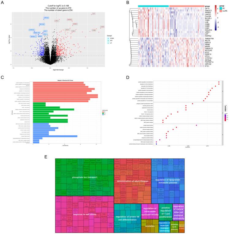 https://cdn.ncbi.nlm.nih.gov/pmc/blobs/9bfe/11560445/9bb1ff74af42/fimmu-15-1416297-g003.jpg