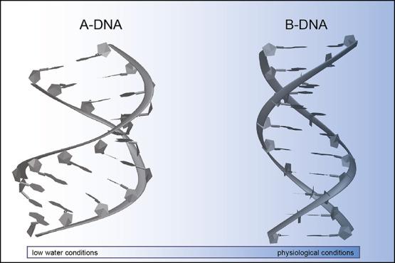 https://cdn.ncbi.nlm.nih.gov/pmc/blobs/9c00/10720382/56e3f36ed769/ct3c01002_0001.jpg