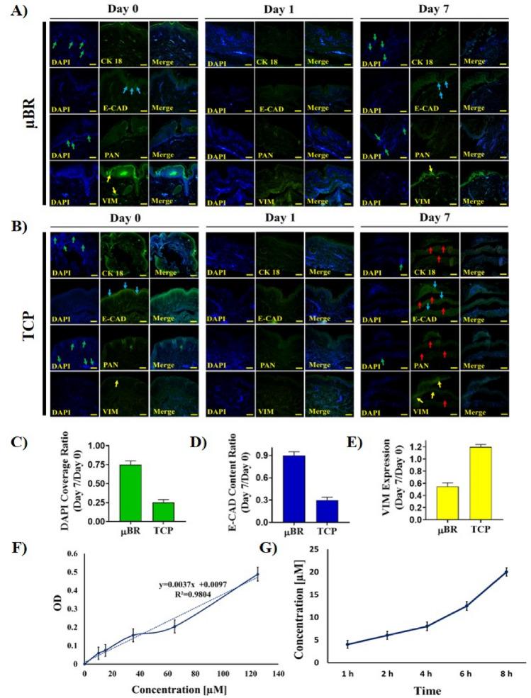 https://cdn.ncbi.nlm.nih.gov/pmc/blobs/9c02/10232512/1f8bbff2135a/41598_2023_34796_Fig6_HTML.jpg