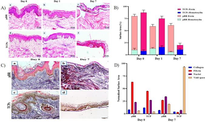 https://cdn.ncbi.nlm.nih.gov/pmc/blobs/9c02/10232512/e9a2677a4b09/41598_2023_34796_Fig3_HTML.jpg