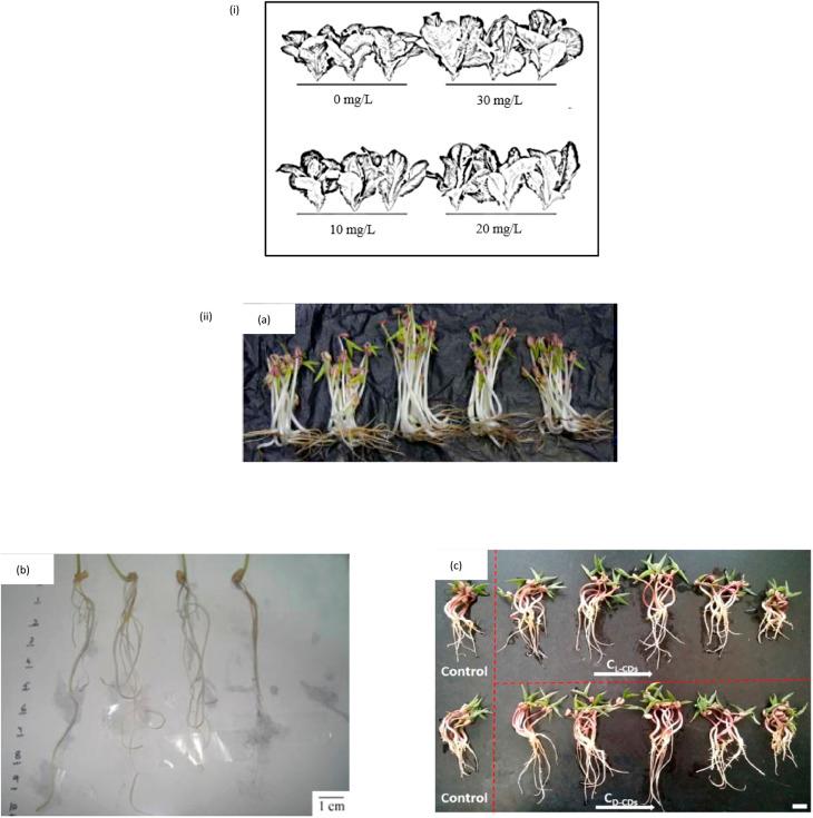 https://cdn.ncbi.nlm.nih.gov/pmc/blobs/9c04/10445218/f2a97dde5983/d3ra01217d-f4.jpg