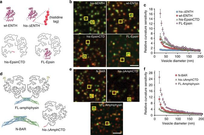 https://cdn.ncbi.nlm.nih.gov/pmc/blobs/9c04/6175956/357010182941/41467_2018_6532_Fig5_HTML.jpg