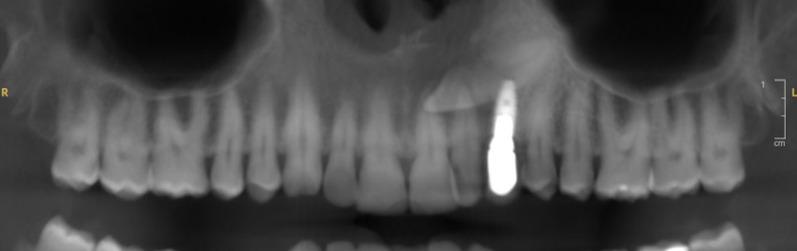 https://cdn.ncbi.nlm.nih.gov/pmc/blobs/9c0a/12089639/d622bcdb2dc1/40729_2025_626_Fig1_HTML.jpg