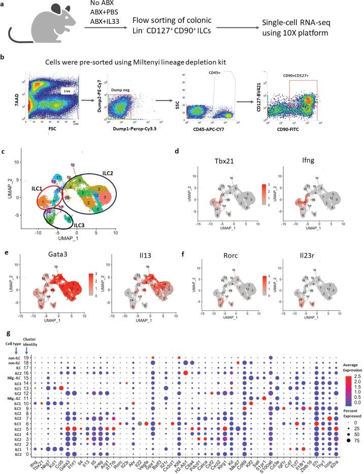 https://cdn.ncbi.nlm.nih.gov/pmc/blobs/9c0b/11209775/a2c21a0d2f08/mbio.03338-23.f001.jpg