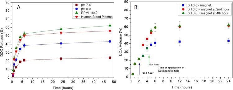 https://cdn.ncbi.nlm.nih.gov/pmc/blobs/9c11/6933766/7217be1eb97a/ao9b03594_0008.jpg