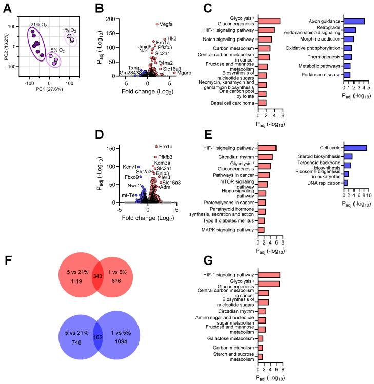 https://cdn.ncbi.nlm.nih.gov/pmc/blobs/9c12/11048388/2c68996736c1/brainsci-14-00341-g002.jpg