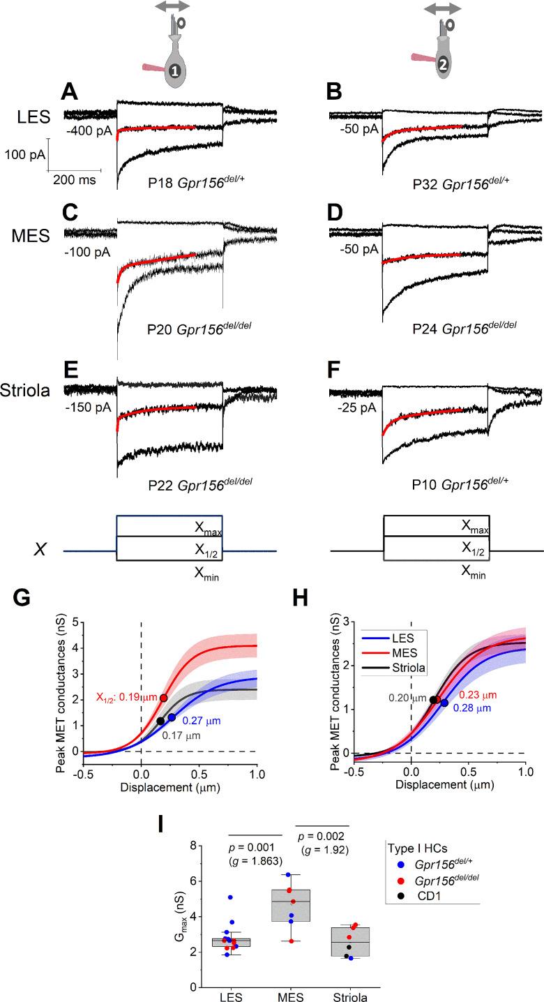 https://cdn.ncbi.nlm.nih.gov/pmc/blobs/9c12/11556791/2539fc4b68ca/elife-97674-fig4.jpg