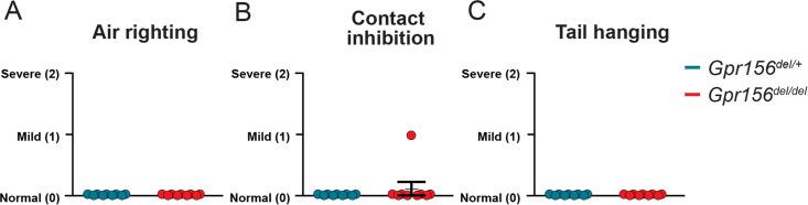 https://cdn.ncbi.nlm.nih.gov/pmc/blobs/9c12/11556791/663f73f3e266/elife-97674-fig11-figsupp2.jpg