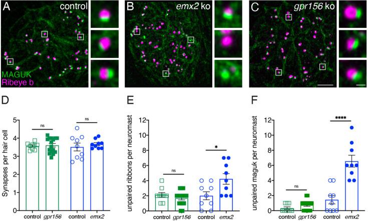 https://cdn.ncbi.nlm.nih.gov/pmc/blobs/9c12/11556791/7dd52a4efaff/elife-97674-fig10.jpg