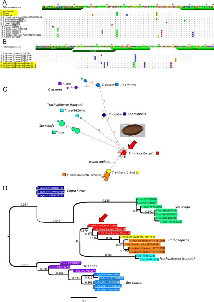 https://cdn.ncbi.nlm.nih.gov/pmc/blobs/9c12/4709038/91deae73ec47/pone.0146230.g003.jpg
