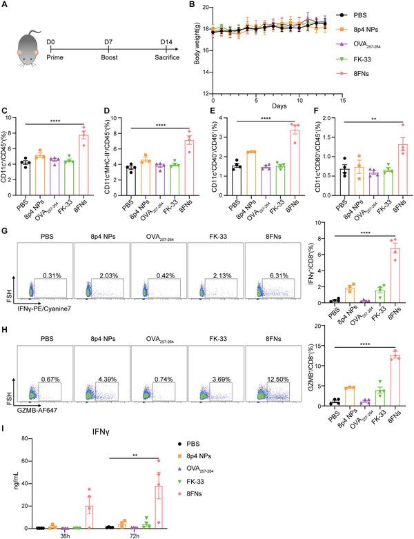 https://cdn.ncbi.nlm.nih.gov/pmc/blobs/9c13/10369282/5dde415d3245/ADVS-10-2300418-g006.jpg