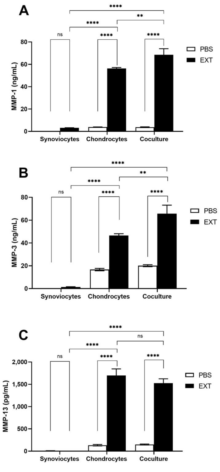 https://cdn.ncbi.nlm.nih.gov/pmc/blobs/9c15/11641946/ad8a206784ff/ijms-25-13149-g006.jpg