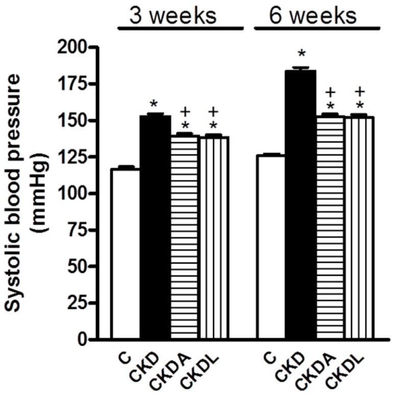 https://cdn.ncbi.nlm.nih.gov/pmc/blobs/9c16/5618629/dba5e2b6c20f/ijms-18-01980-g001.jpg