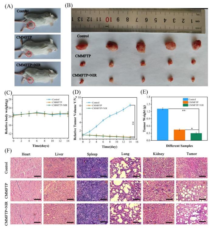 https://cdn.ncbi.nlm.nih.gov/pmc/blobs/9c16/9319594/a22861a0facc/nanomaterials-12-02509-g005.jpg