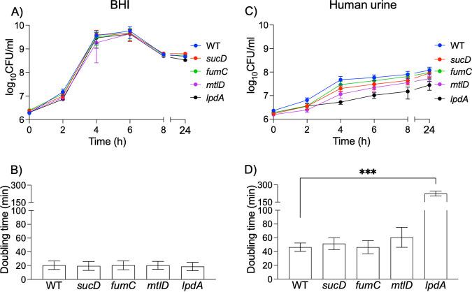 https://cdn.ncbi.nlm.nih.gov/pmc/blobs/9c19/10433999/e7a368e2723b/spectrum.05365-22-f001.jpg