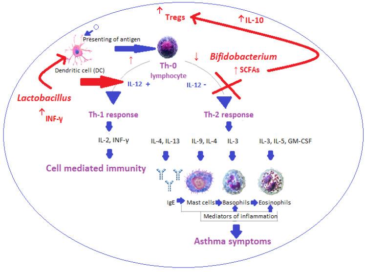 https://cdn.ncbi.nlm.nih.gov/pmc/blobs/9c1e/11722634/b7295e167cf4/nutrients-17-00016-g002.jpg