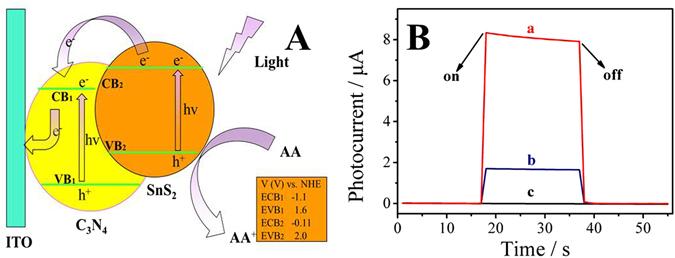 https://cdn.ncbi.nlm.nih.gov/pmc/blobs/9c20/5498603/5e3bae781dcb/41598_2017_4924_Fig4_HTML.jpg